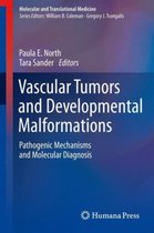Vascular Tumors and Developmental Malformations