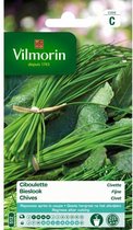 Bieslook Fijne - Allium schoenoprasum