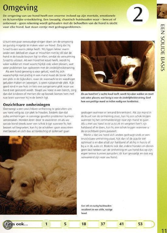 Een hond slaapt in een mand.