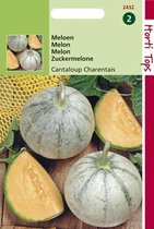 Hortitops Meloenen Charentais
