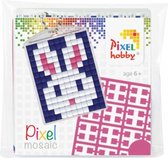 Ensemble de démarrage Pixel Hobby Medallion Rabbit
