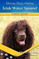 Irish Water Spaniel