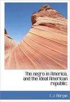 The Negro in America, and the Ideal American Republic;