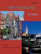 Mein Regensburg