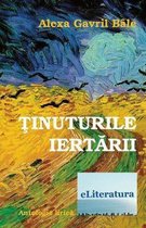 Tinuturile Iertarii