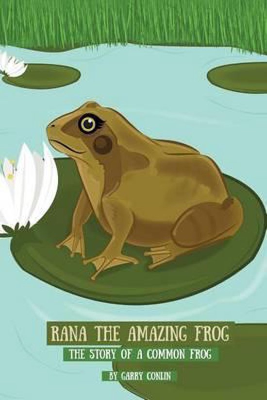 the amazing frog 2