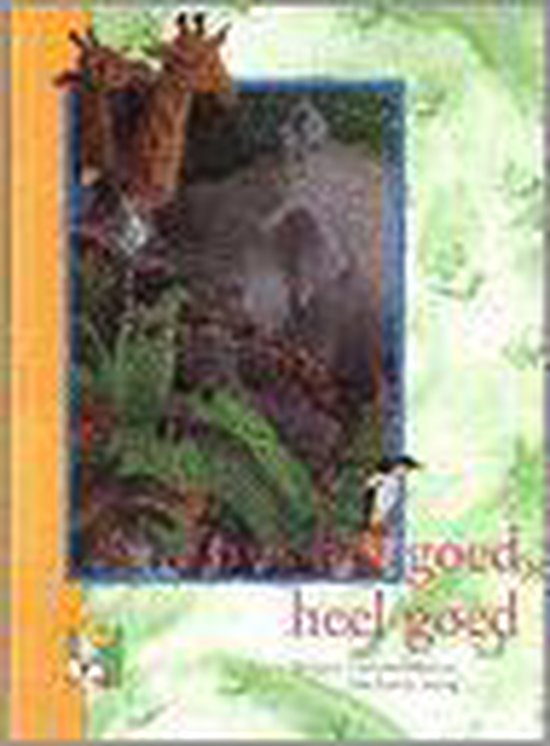 9789069862316 - Zo is het goed, heel goed
