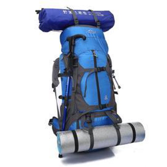 LocalLion Wereldwijd Backpack Regenhoes, 65 Liter, Blauw | bol.com