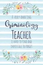 A Truly Amazing Criminology Teacher Is Hard to Find and Impossible to Forget