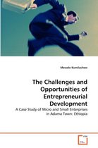 The Challenges and Opportunities of Entrepreneurial Development