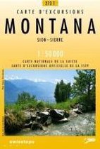 Swisstopo 1 : 50 000 Montana