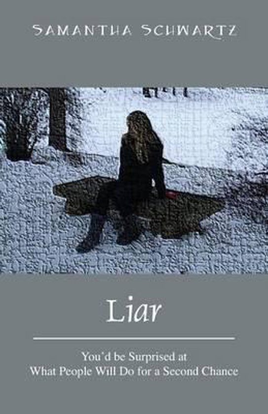 Liar, Samantha Schwartz 9781478712060 Boeken