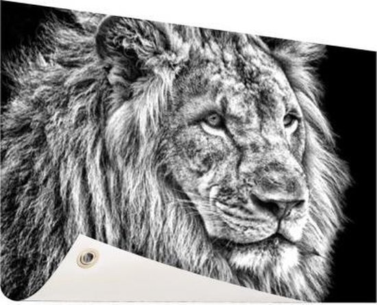 Affiche de jardin Lion en hiver 60x40 cm - Photo sur affiche de jardin / Peintures pour l'extérieur (décoration de jardin)