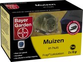 Bayer Knaagdierenbestrijding Frap lokstation 1st