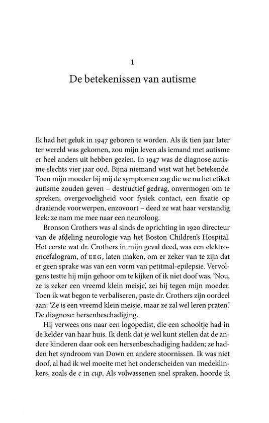 Het autistische brein