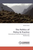 The Politics of Policy