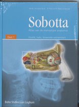 Sobotta / 1 Hoofd, hals, bovenste extremiteit