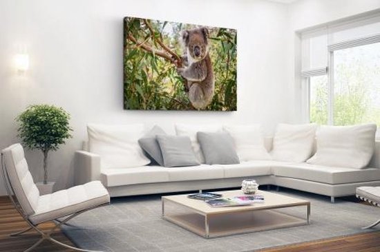 Koala dans un arbre Toile 80x60 cm - Tirage photo sur toile (Décoration murale salon / chambre) / Peintures sur toile Animaux