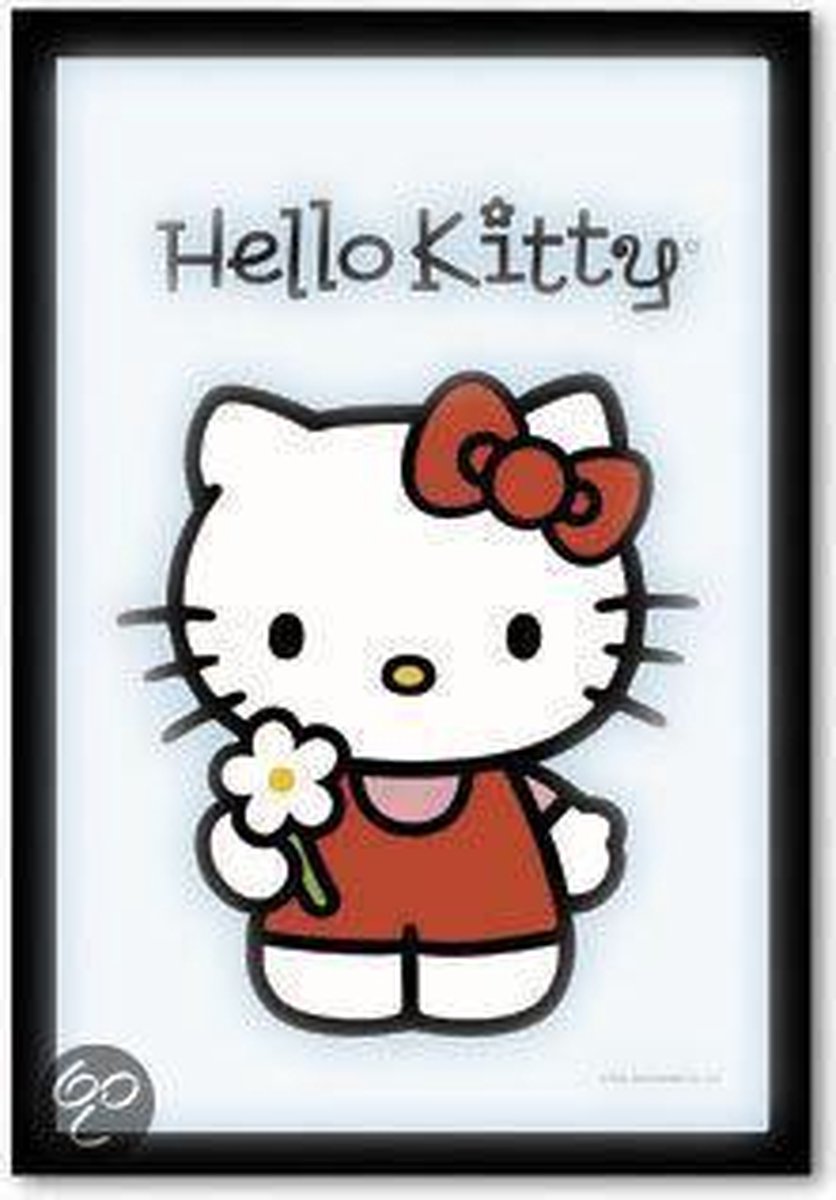 Spiegel 'Hello Kitty