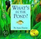 What's In The Pond?