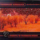 Tangerine Ambience: A Tribute To Tangerine Dream