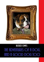 The Adventures of a Dog, and a Good Dog Too (Illustrated)