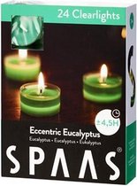 Spaas 24 Clearlights Eccentric Eucalyptus