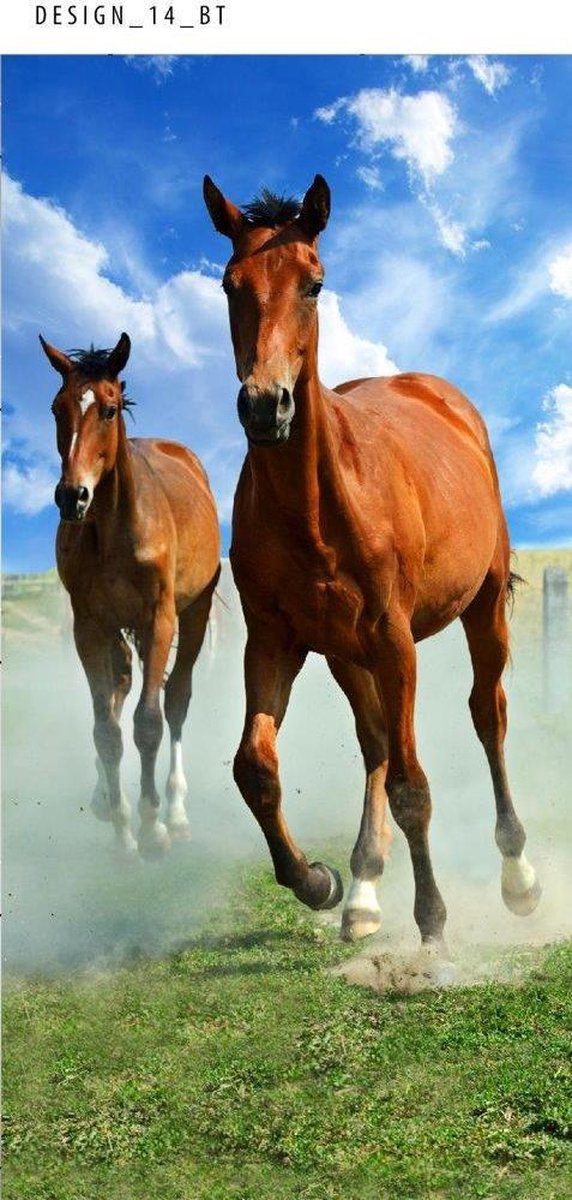 Paarden - Strandlaken - 70 x  140 cm - Carbotex