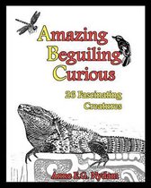 Amazing, Beguiling, Curious