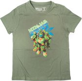 Turtles - Green. Ninjas In Training - 152/158