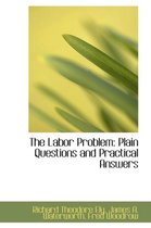 The Labor Problem