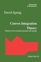 Convex Integration Theory