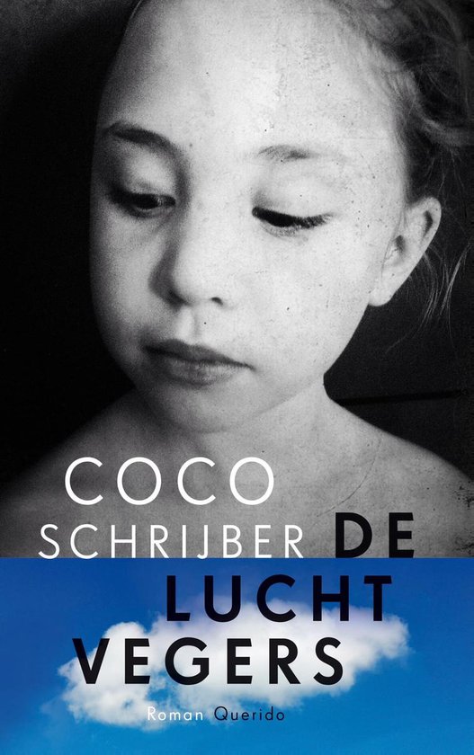 De luchtvegers - cover