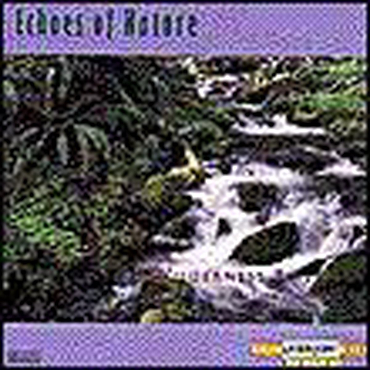 Wilderness River