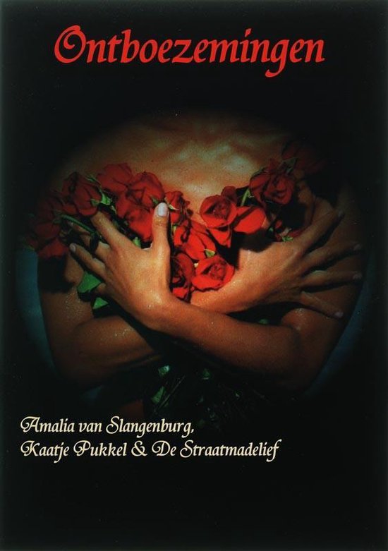 9789080162365 - Ontboezemingen