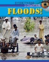 Eyewitness Disaster