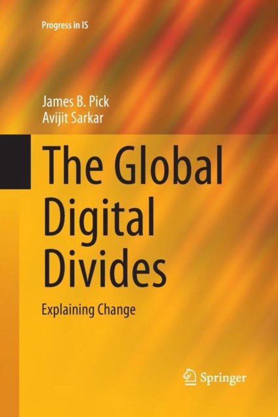 Progress in IS-The Global Digital Divides - cover