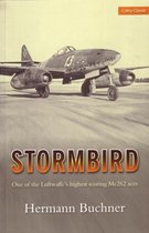 Stormbird