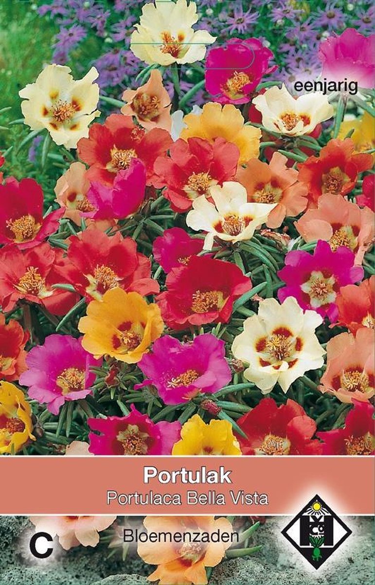 2 stuks Van Hemert & Co Portulaca grandiflora Bella Vista Mix