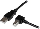USB A to USB B Cable Startech USBAB2MR Black