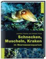 Schnecken, Muscheln, Kraken im Meerwasseraquarium