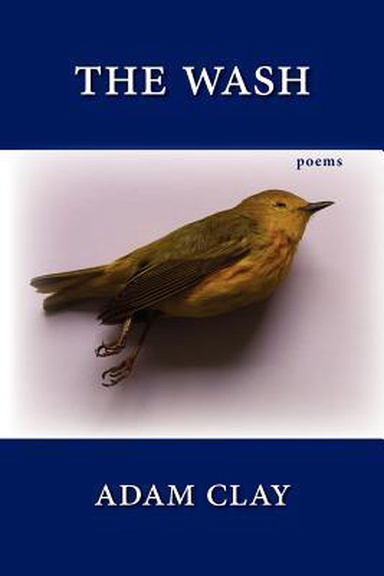 Free Verse Editions-The Wash - cover