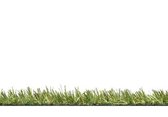 Belvy Grass Green Park Kunstgras 200 cm breed. Bestelling per strekkende meter (100cm)
