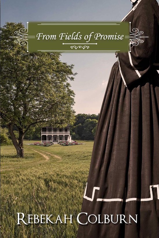 My Brother's Flag 3 - From Fields of Promise - cover