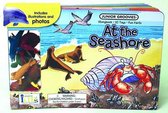 At the Seashore Board Book