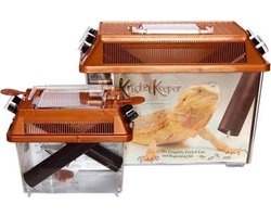 Komodo Krekelbak small