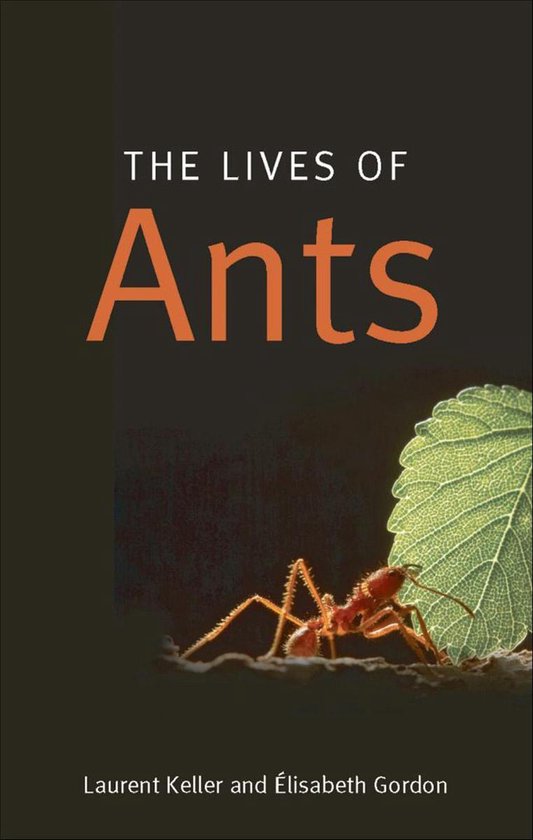 The Lives of Ants - cover