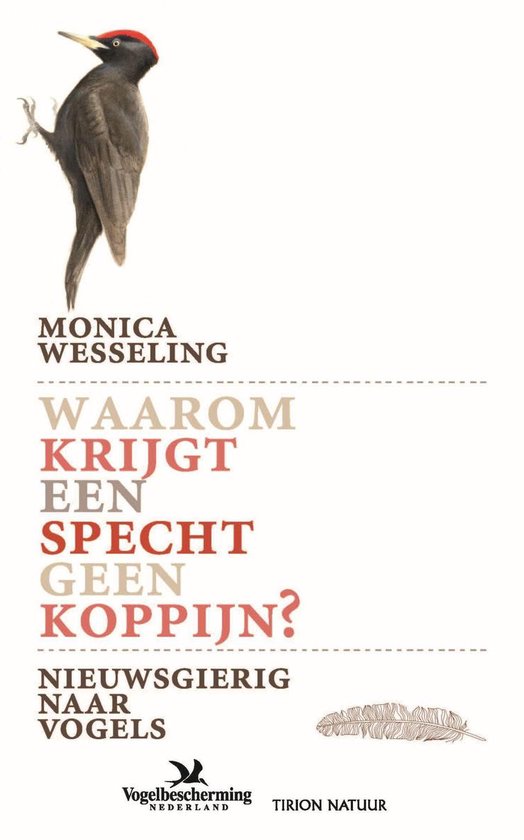 Waarom krijgt een specht geen koppijn - cover