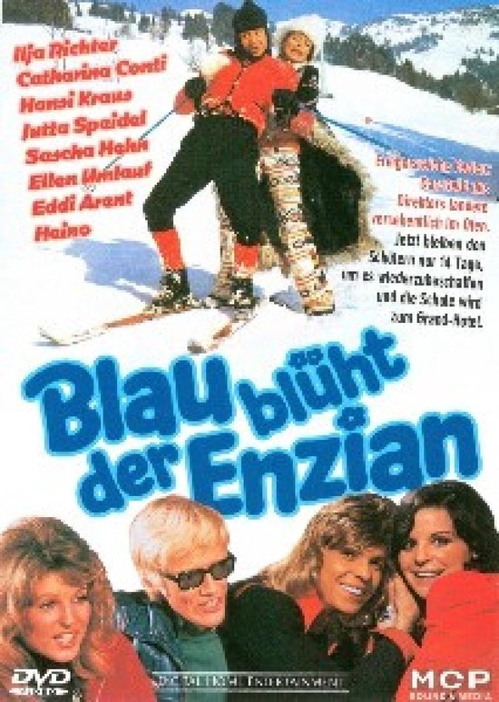 Blau Bluht Der Enzian