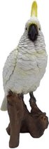 Polystone vogel dierenbeeld witte kaketoe - Decoratie beeldje witte kaketoe 25 cm